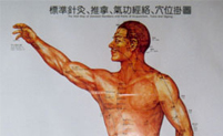 Poster Körperakupunktur